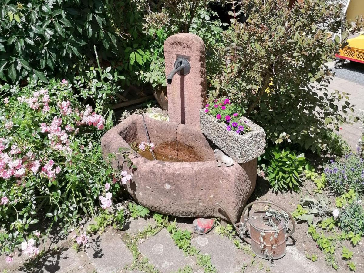 Jogis Ferienwohnungen Freiburg im Breisgau Exteriör bild