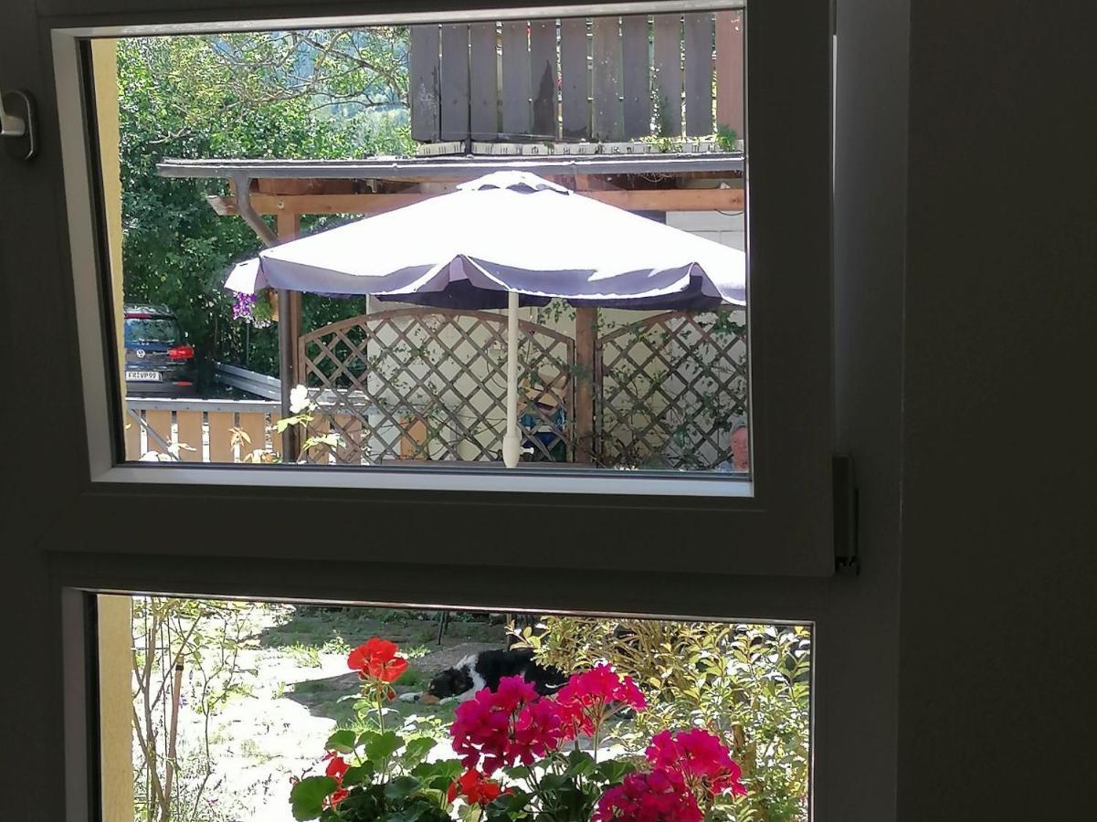 Jogis Ferienwohnungen Freiburg im Breisgau Exteriör bild